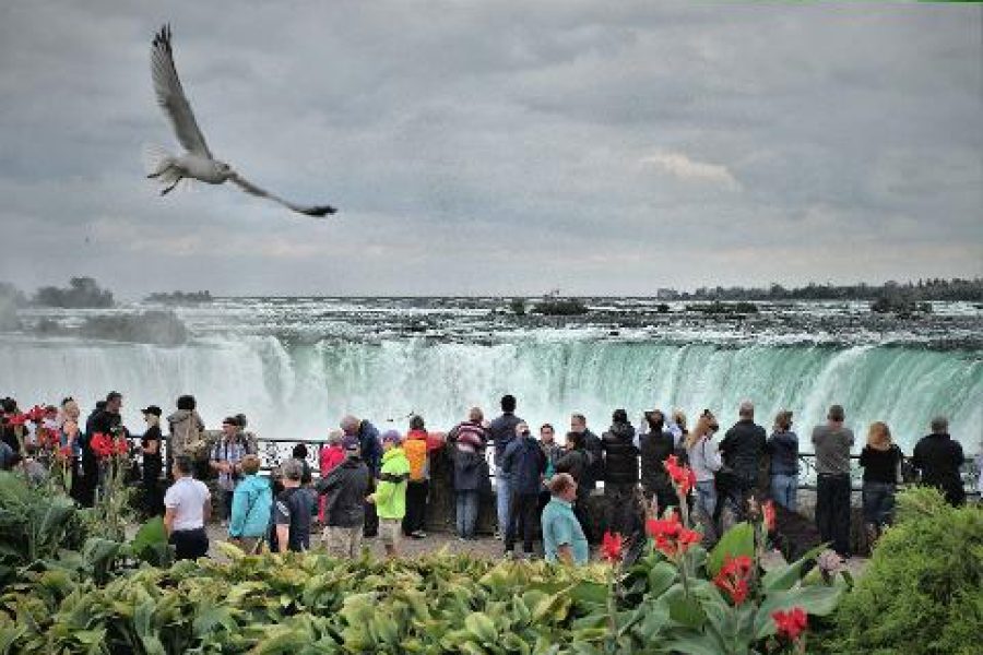 Milton To Niagara Falls Large Group Custom Bus Tour (upto 56 Passengers)